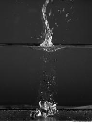 Photo Texture of Water Splashes